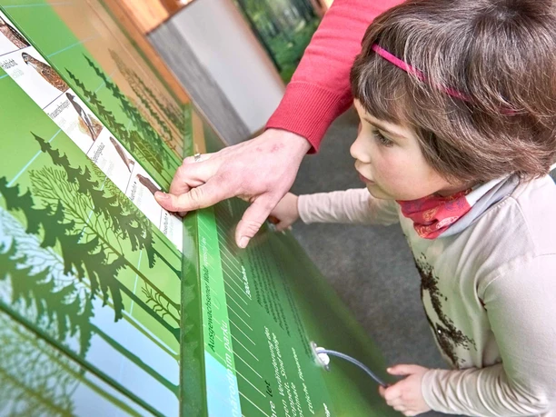 A child looks with interest at a green information board with forest motifs, while an adult points to it.