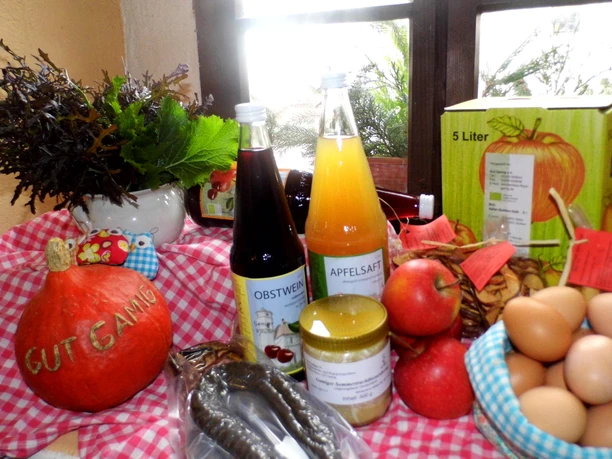 Angebot Gut Gamig Verschiedene Lebensmittel auf einem rot-weiß karierten Tuch: Kürbis, Obstwein, Apfelsaft, Äpfel, Eier in einer Schale, Honig und frische Kräuter.