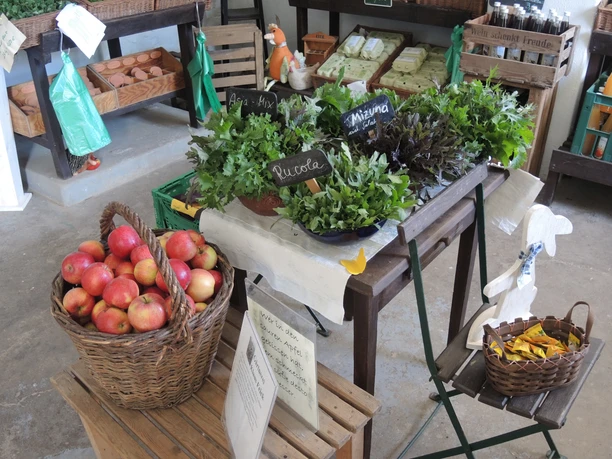 Basket of red apples and bowls of fresh salad on a wooden table in a rustic store, surrounded by other products.