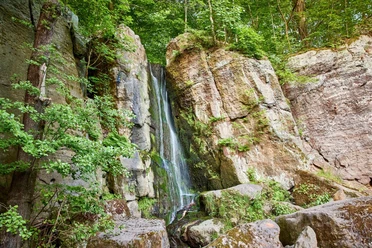 Langenhennersdorfer Wasserfall Ein kleiner Wasserfall fließt über eine moosbewachsene Felswand, umgeben von üppigem Grün und Bäumen in einem Waldgebiet.