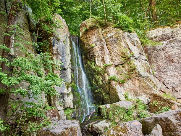 Langenhennersdorfer Wasserfall Ein kleiner Wasserfall fließt über eine moosbewachsene Felswand, umgeben von üppigem Grün und Bäumen in einem Waldgebiet.