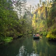 Obere Schleuse Hinterhermsdorf Eine Gruppe von Menschen fährt in einem Boot auf einem ruhigen Fluss, umgeben von dichtem, grünem Wald und steilen Felswänden.A group of people are traveling in a boat on a calm river, surrounded by dense, green forest and steep rock faces.Skupina lidí pluje na člunu po klidné řece, obklopené hustým zeleným lesem a strmými skalními stěnami.Grupa ludzi podróżuje łodzią po spokojnej rzece, otoczonej gęstym, zielonym lasem i stromymi skałami.Een groep mensen vaart in een boot op een kalme rivier, omringd door dichte, groene bossen en steile rotswanden.Un gruppo di persone viaggia in barca su un fiume tranquillo, circondato da una fitta foresta verde e da ripide pareti rocciose.