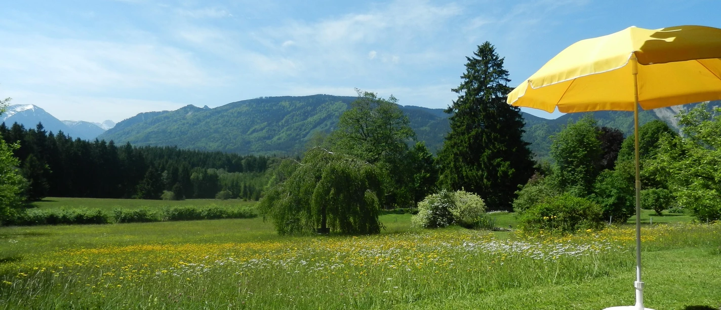 Blick von der Terrasse