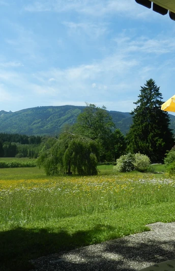 Blick von der Terrasse