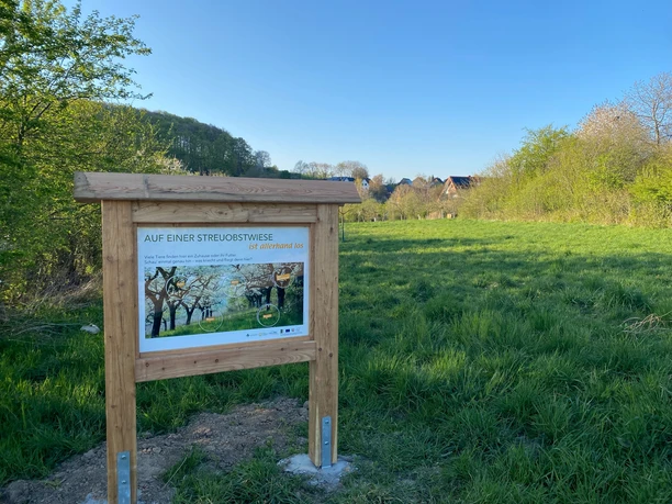 Obstwiesenlehrpfad Bavenhausen_Foto Naturpark Teutoburger Wald.jpg