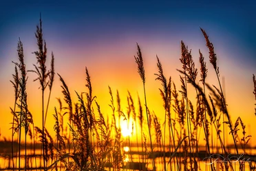 Sonnenuntergang am See