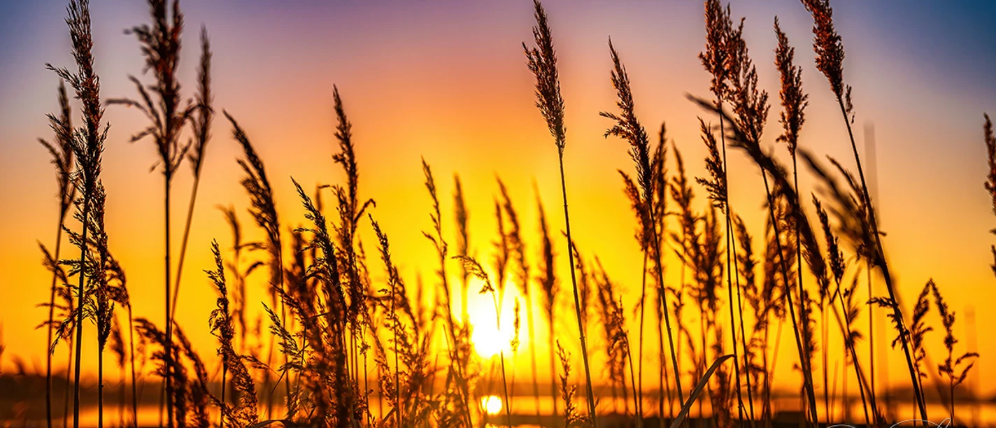 Sonnenuntergang am See