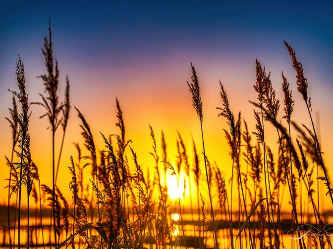 Sonnenuntergang am See