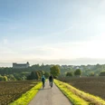 Bueren-Kreismuseum Wewelsburg-Teutoburger-Wald-Tourismus-D-Ketz-007-CC-BY-SA.jpg Blick auf drei Radfahrer auf einem ländlichen Weg, umgeben von Feldern und Bäumen, mit Burg im Hintergrund.