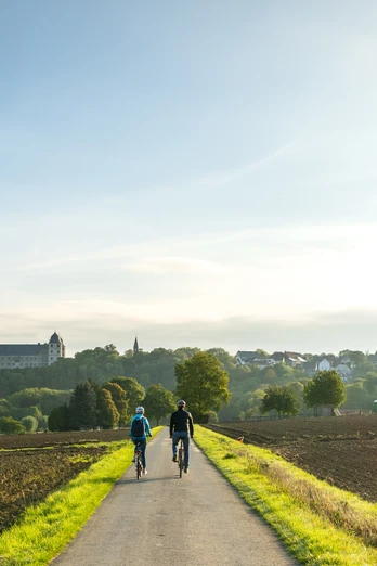 Bueren-Kreismuseum Wewelsburg-Teutoburger-Wald-Tourismus-D-Ketz-007-CC-BY-SA.jpg Blick auf drei Radfahrer auf einem ländlichen Weg, umgeben von Feldern und Bäumen, mit Burg im Hintergrund.