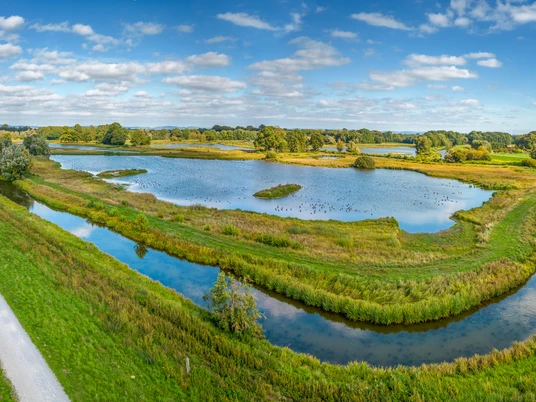 Delbrueck - Steinhorster Becken