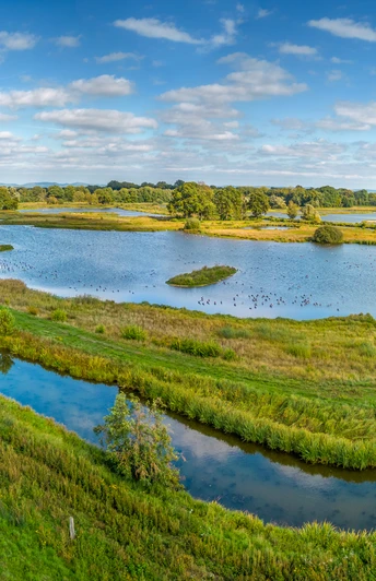 Delbrueck-Steinhorster Becken-Teutoburger-Wald-Tourismus-D-Ketz-079-CC-BY-SA.jpg Delbrueck - Steinhorster Becken