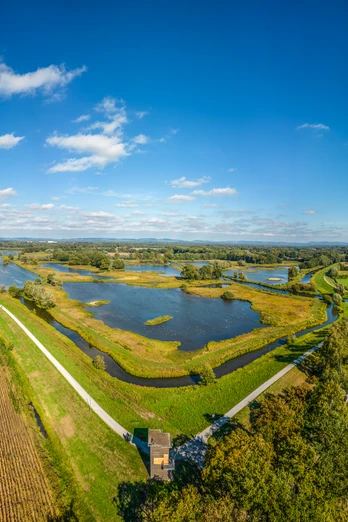 Delbrueck-Steinhorster Becken-Teutoburger-Wald-Tourismus-D-Ketz-086-CC-BY-SA.jpg Delbrueck - Steinhorster Becken