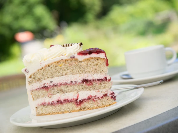Tortenbuffet im Wald Ein Stück Sahnetorte mit Fruchtfüllung auf einem Teller im Grünen neben einer Tasse Kaffee.