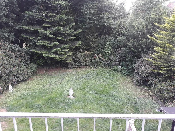 Ein ruhiger Garten mit grünem Gras und dichten Bäumen. Zwischen den Pflanzen stehen zwei kleine Statuen.