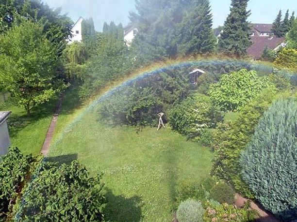 Ein schöner Garten mit vielen grünen Pflanzen und Bäumen. Ein Regenbogen spannt sich über die Szene und bringt Farbe ins Bild.