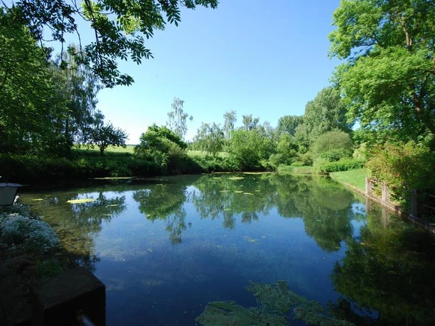 Teich1