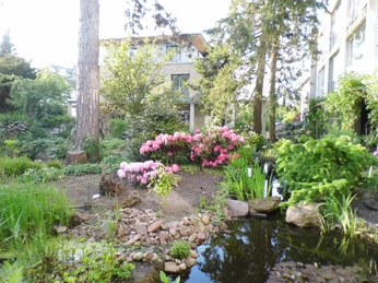 Hotel Silke - Innenhof