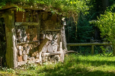 Altenbeken-Waldhaus-Teutoburger-Wald-Tourismus-Patrick-Gawandtka-044.jpg Blick auf das Insektenhotel am Waldhaus Altenbeken