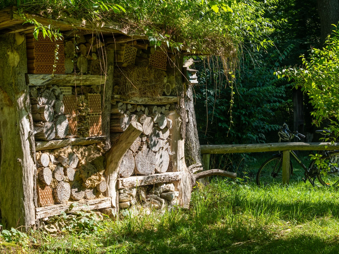Altenbeken-Waldhaus-Teutoburger-Wald-Tourismus-Patrick-Gawandtka-044.jpg Blick auf das Insektenhotel am Waldhaus Altenbeken