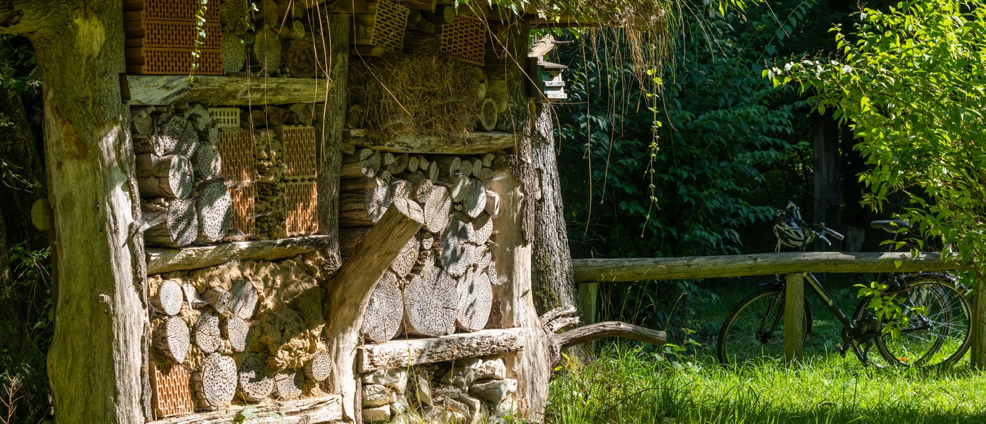 Altenbeken-Waldhaus-Teutoburger-Wald-Tourismus-Patrick-Gawandtka-044.jpg Blick auf das Insektenhotel am Waldhaus Altenbeken
