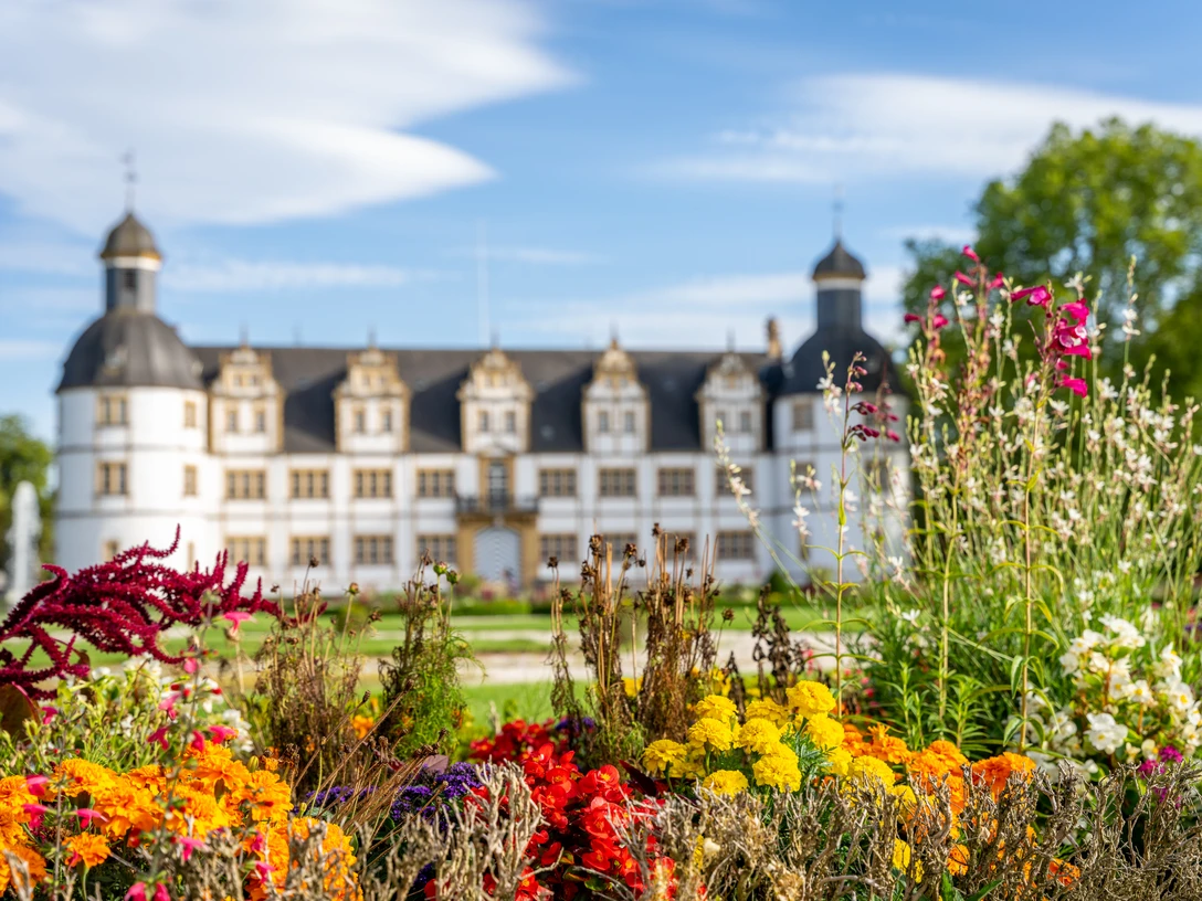 Paderborn-SchlossNeuhaus-Teutoburger-Wald-Tourismus-Patrick-Gawandtka-123.jpg Schloss Neuhaus vor strahlend blauem Himmel, umgeben von einem prächtigen Garten mit bunten Blumen.