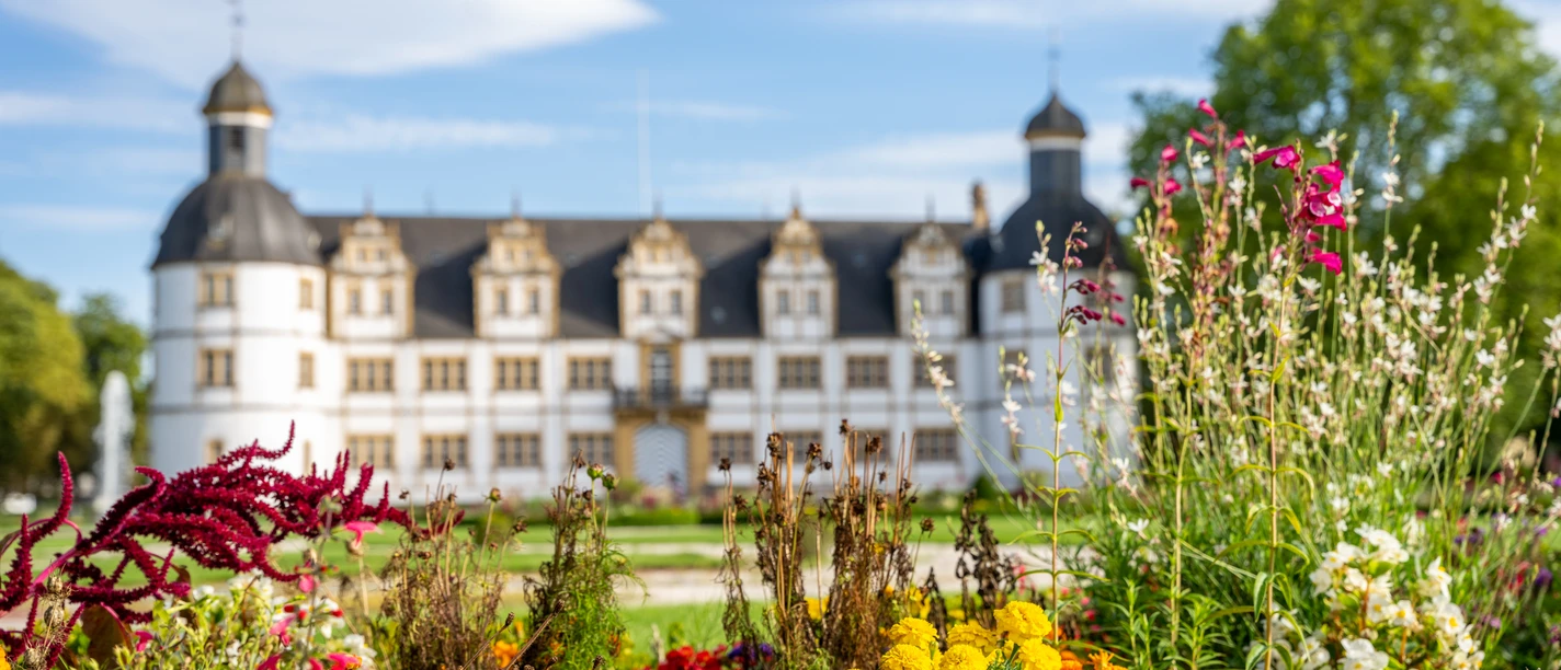 Paderborn-SchlossNeuhaus-Teutoburger-Wald-Tourismus-Patrick-Gawandtka-123.jpg Schloss Neuhaus vor strahlend blauem Himmel, umgeben von einem prächtigen Garten mit bunten Blumen.
