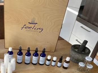 Steffis Chritter Seelechraft