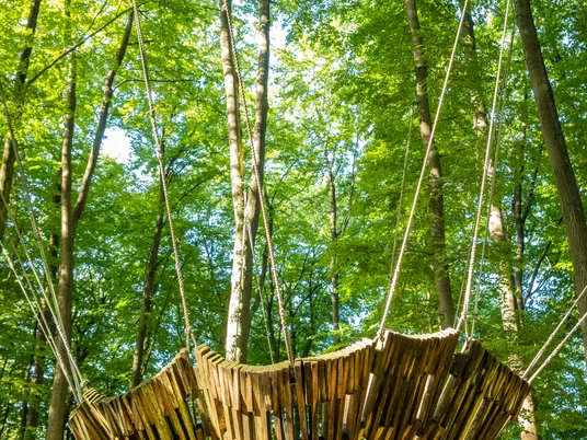 Holzskulptur hängend in einem dichten, grünen Wald, umgeben von hohen Bäumen bei Tageslicht.