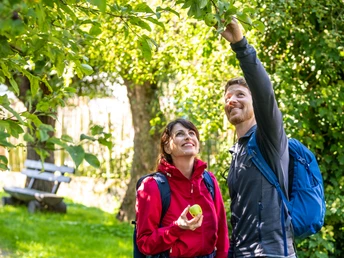 Brakel-Agrarhistorischer Wanderweg Bellersen-Teutoburger-Wald-Tourismus-D-Ketz-044.jpg Ein Mann und eine Frau mit Rucksack stehen unter einem Apfelbaum am agrarhistorischem Wanderweg. Der Mann greift nach einem Apfel, die Frau schaut dabei lächelnd zu