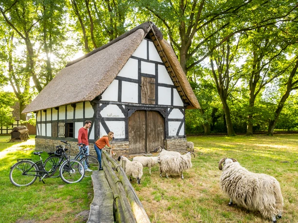 Rahden-Museumshof-Teutoburger-Wald-Tourismus-D-Ketz-027.jpg Fachwerkhaus im Grünen, zwei Personen füttern Schafe; Fahrräder lehnen am Zaun.