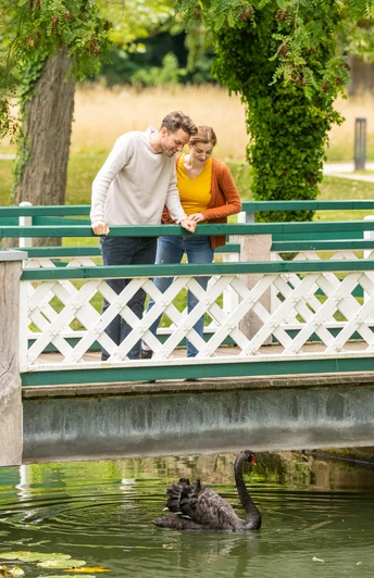 Espelkamp-Schloss Benkhausen-Teutoburger-Wald-Tourismus-D-Ketz-097.jpg Ein Paar blickt von einer weißen Holzbrücke hinab auf einen schwarzen Schwan im Wasser.