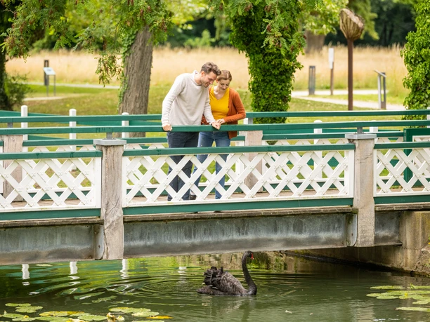 Espelkamp-Schloss Benkhausen-Teutoburger-Wald-Tourismus-D-Ketz-097.jpg Ein Paar blickt von einer weißen Holzbrücke hinab auf einen schwarzen Schwan im Wasser.