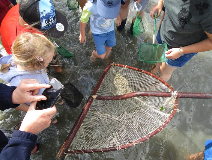 Westerkoog020918 (36).JPG