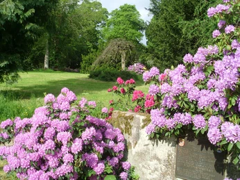 Park Courbevoie (33)