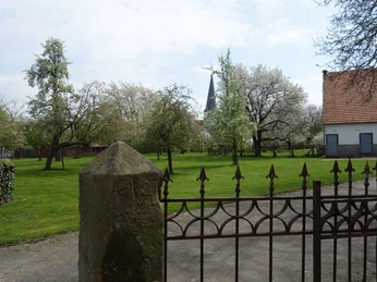 Ein gepflegter Garten mit Kirschbäumen, einem Zierzaun und im Hintergrund eine Kirchturmspitze.