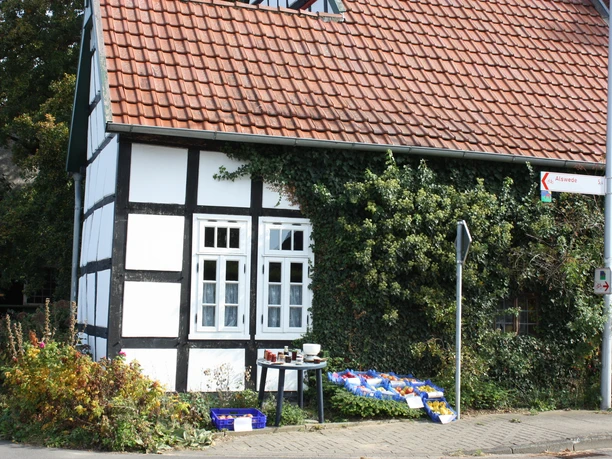 Blasheim Fachwerkhaus mit rotem Ziegeldach, von Efeu überwuchert, steht an einer Straßenecke in Blasheim.