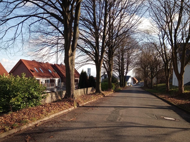 Nettelstedt Berg Eine von Bäumen gesäumte Straße mit roten Ziegeldächern und spärlichem Laub an einem sonnigen Tag.