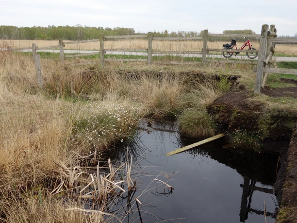 Nettelstedt Moor Moorlandschaft mit Gatterzaun, stillem Wasserlauf, umgeben von Gräsern und im Hintergrund ein Radfahrer.
