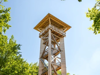 Hölzerner Aussichtsturm unter blauem Himmel, umgeben von grünen Bäumen in einem Waldgebiet.