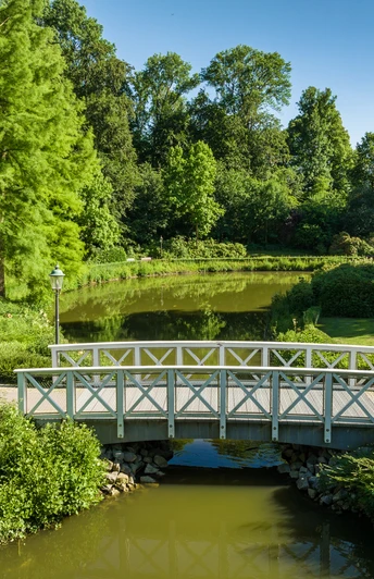 Fußgängerbrücke über einen grünen Teich in einem üppigen Park mit Bäumen und Spaziergängern.