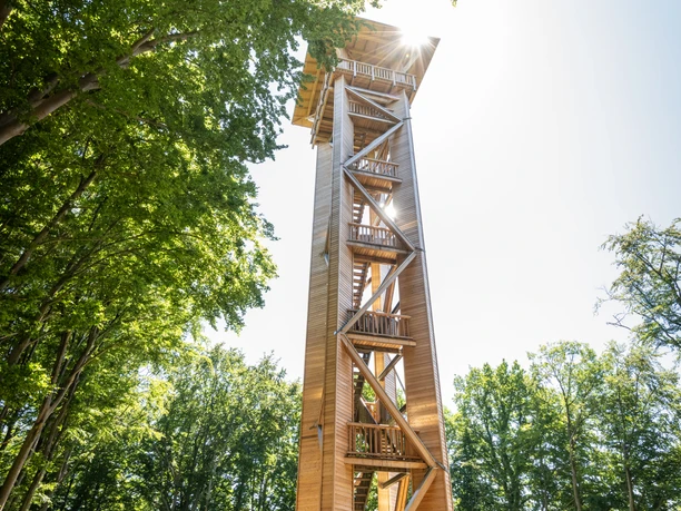 Preußisch Oldendorf-Wiehenturm-Teutoburger-Wald-Tourismus-D-Ketz-066.jpg Holzturm im Wald mit strahlender Sonne durch Bäume, Besucher betrachtet die Umgebung.