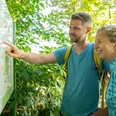 Stemwede-Waldlehrpfad Stemweder Berg-Teutoburger-Wald-Tourismus-D-Ketz-038.jpg Zwei Personen betrachten interessiert eine Informationstafel im sonnigen, grünen Wald des Stemwede.
