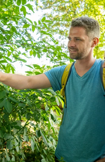 Stemwede-Waldlehrpfad Stemweder Berg-Teutoburger-Wald-Tourismus-D-Ketz-038.jpg Zwei Personen betrachten interessiert eine Informationstafel im sonnigen, grünen Wald des Stemwede.