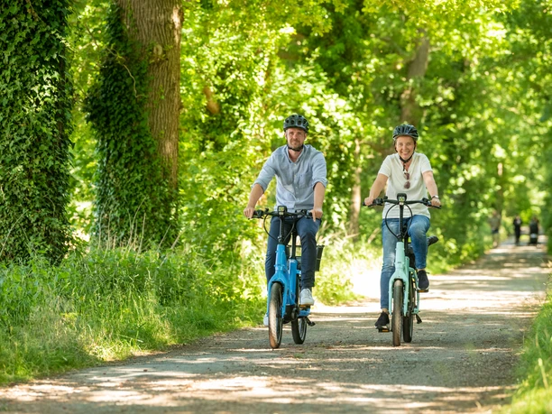Stemwede-Stiftsort Levern-Teutoburger-Wald-Tourismus-D-Ketz-048.jpg Zwei Radfahrer fahren auf einem grünen, von Bäumen gesäumten Waldweg im Teutoburger Wald.