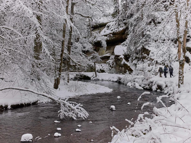 Polenztal Verschneite Waldlandschaft mit einem Bach, umgeben von schneebedeckten Bäumen; drei Personen wandern am Ufer entlang.