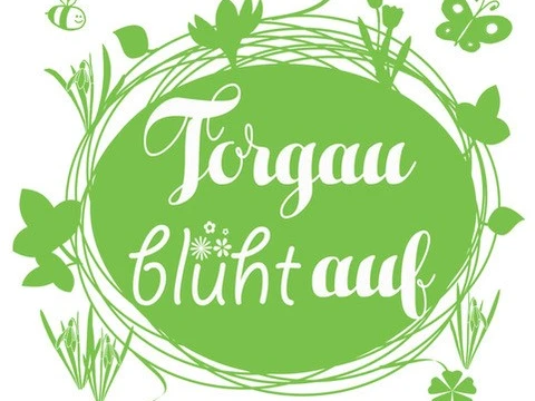 Torgau blüht auf