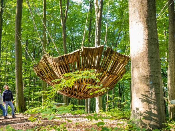 Nieheim-Nieheimer Kunstpfad Holzhausen-Teutoburger-Wald-Tourismus-D-Ketz-026.jpg Zwei Personen betrachten eine große hölzerne Hängeskulptur im Wald bei sonnigem Wetter.