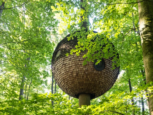 Baumhaus in Kugelform mit Schindelverkleidung, eingebettet in dicht belaubtem Wald.