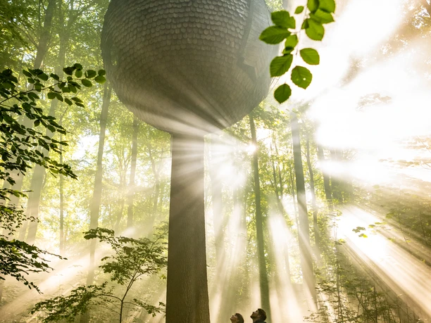 Nieheim-Nieheimer Kunstpfad Holzhausen-Teutoburger-Wald-Tourismus-D-Ketz-035.jpg Ein kugelförmiges Baumhaus schwebt im Wald, umgeben von Sonnenstrahlen und dichten Baumblättern.